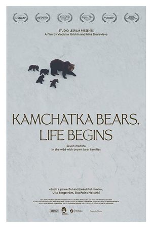 Kamchatka Bears. Life Begins's poster