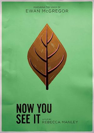 Now You See It's poster