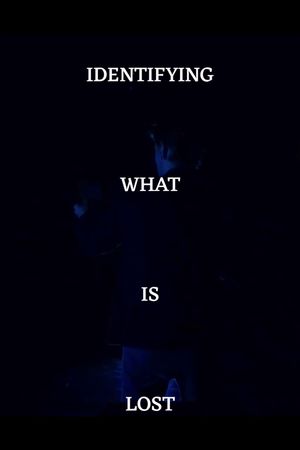 Identifying What's Lost's poster