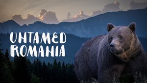Untamed Romania's poster