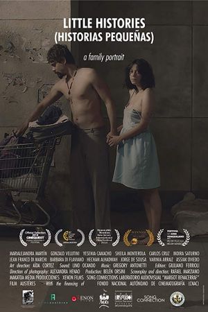 Little Histories's poster