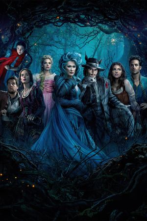 Into the Woods's poster