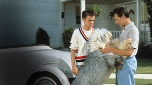 The Shaggy Dog's poster