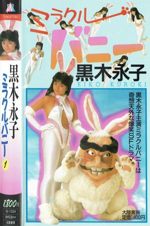 Miracle Bunny's poster