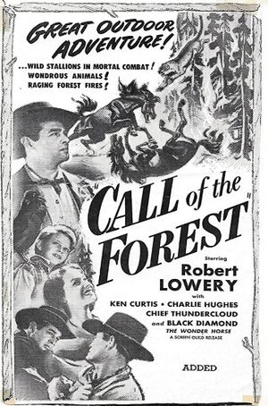 Call of the Forest's poster