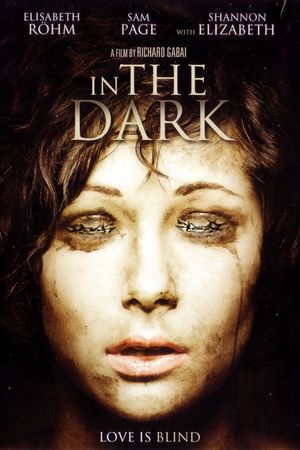 In the Dark's poster