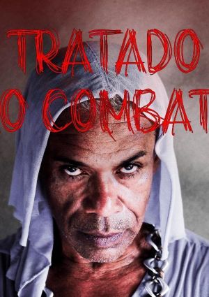 O Tratado do Vão Combate ou A Pequena História de uma Bixinha Qualquer's poster image