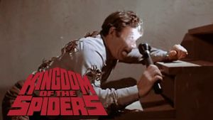 Kingdom of the Spiders's poster