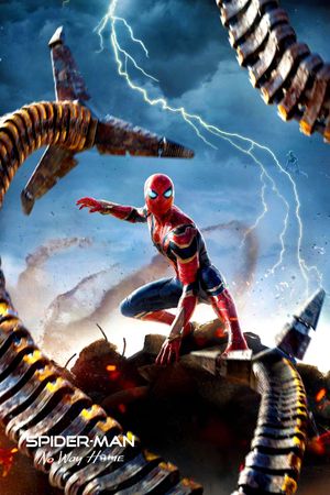 Spider-Man: No Way Home's poster