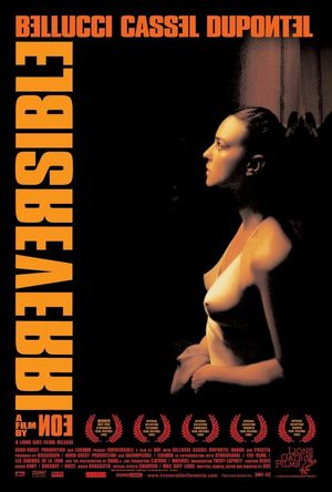 Irreversible's poster