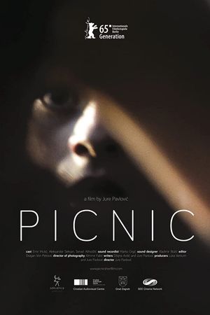 Picnic's poster