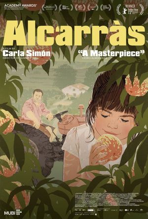 Alcarràs's poster