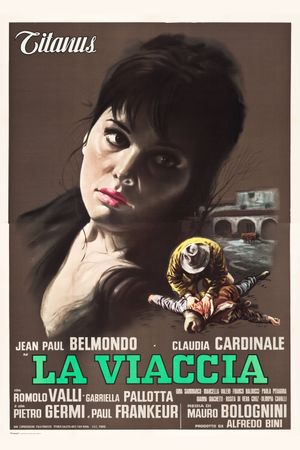 La viaccia's poster