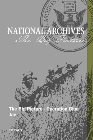 Operation Blue Jay's poster