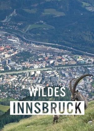 Wildes Innsbruck: Zwischen Moderne und alpiner Wildnis's poster