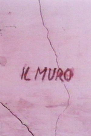 Il muro's poster