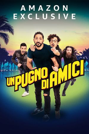 Un pugno di amici's poster