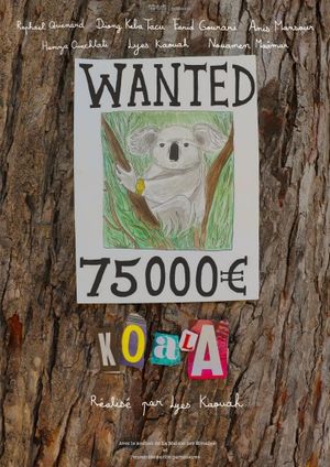 Koala's poster