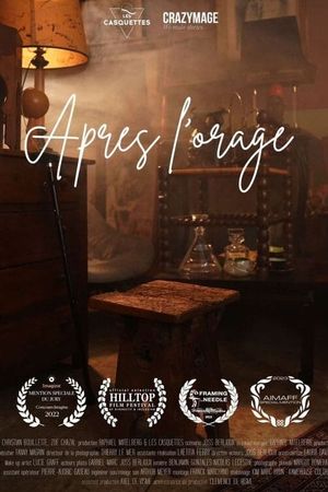 Après l'orage's poster