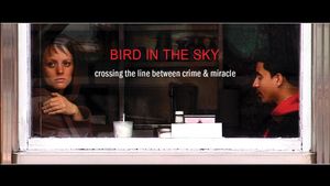 Bird in the Sky's poster