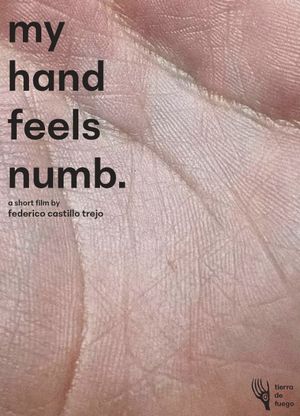 My Hand Feels Numb.'s poster