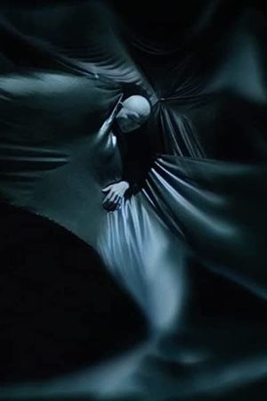 Singularity Song's poster