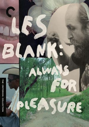 Always for Pleasure's poster