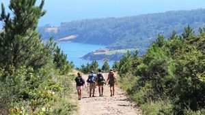 Camino de Santiago's poster