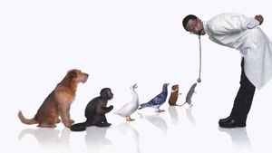 Doctor Dolittle's poster