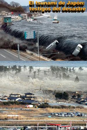 Witness: Disaster in Japan's poster