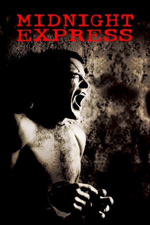 Midnight Express's poster