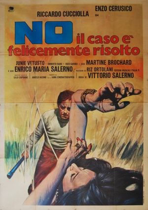 No, the Case Is Happily Resolved's poster