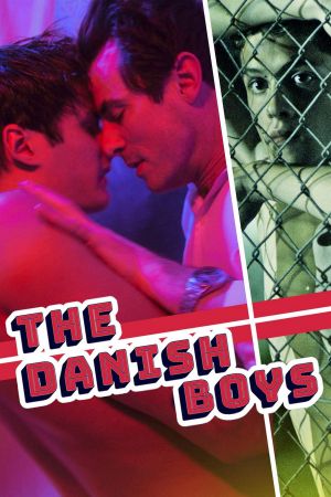The Danish Boys's poster