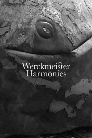 Werckmeister Harmonies's poster