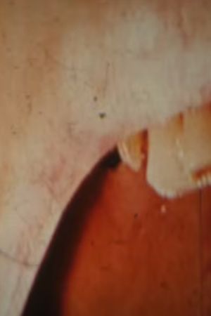 Outcry (for Luther)'s poster
