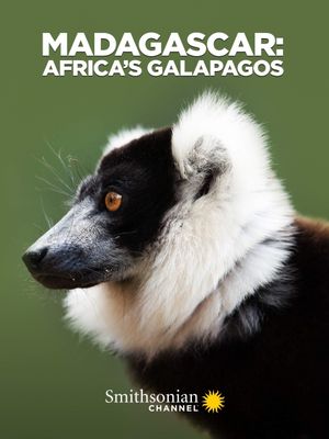 Madagascar: Africa's Galapagos's poster