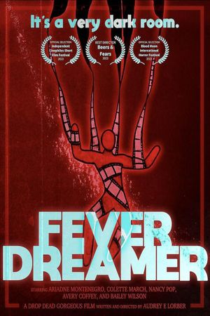 Fever Dreamer's poster