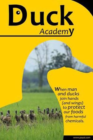 Duck Academy's poster