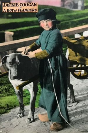 A Boy of Flanders's poster