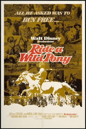 Ride a Wild Pony's poster