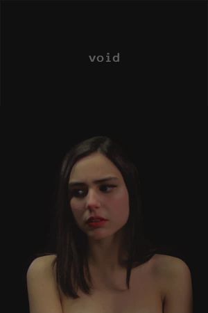 Void's poster