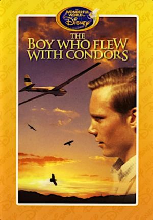 The Boy Who Flew with Condors's poster