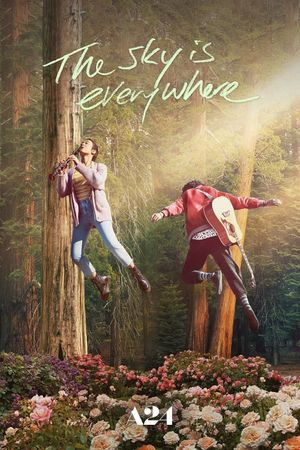 The Sky Is Everywhere's poster