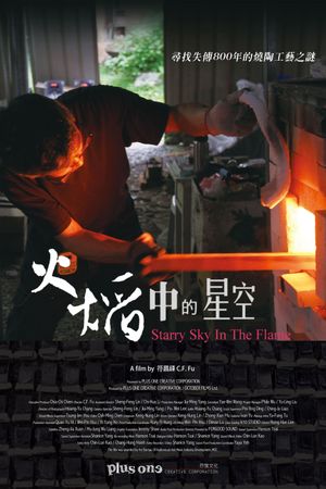 Starry Sky in the Flame's poster