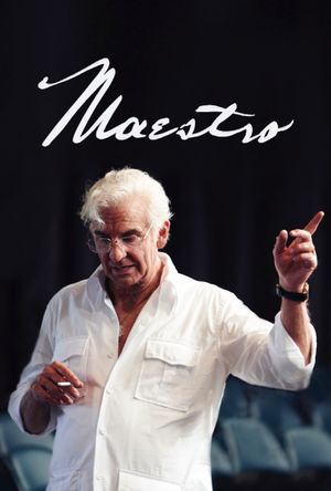 Maestro's poster