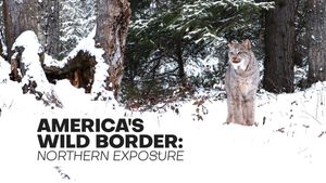 America's Wild Border: Northern Exposure's poster