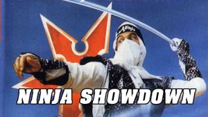 The Ninja Showdown's poster