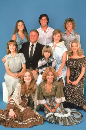 Eight Is Enough: A Family Reunion's poster