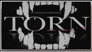 Torn's poster