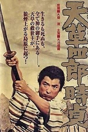 The Revolutionary's poster